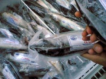Thịt cá tươi đem về bỏ ngăn đá tủ lạnh là hàng đông chậm, không phải cấp đông, mặc dù cả hai đều đông cứng ngắc (ảnh: http://vietbao.vn)